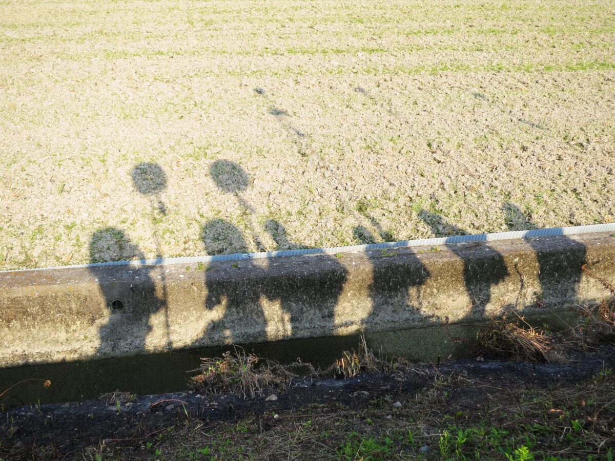 2012年 多度津町山階・藤波池 秋季例大祭 池まわり