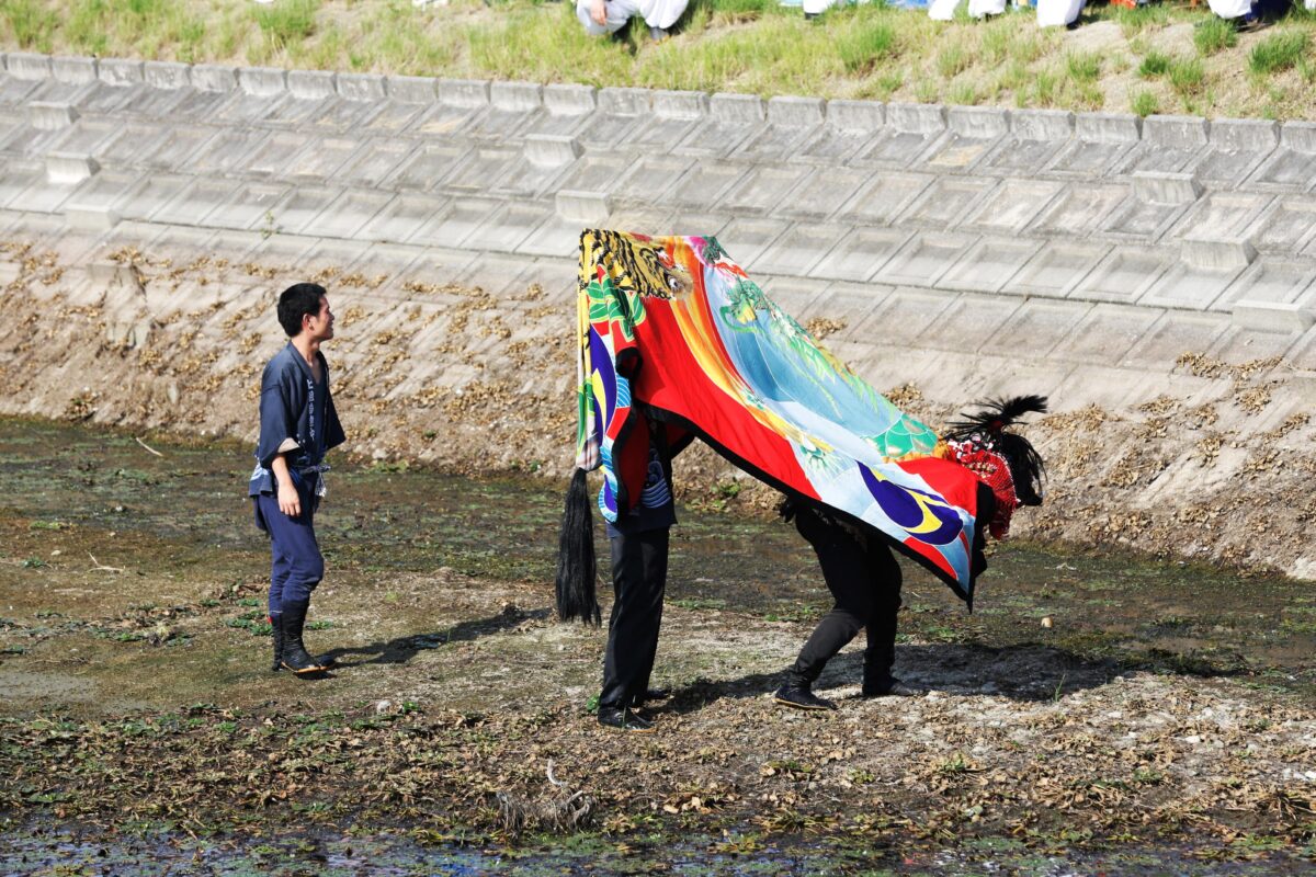 2015年 多度津町山階・藤波池 秋季例大祭 池まわり 上小原獅子組