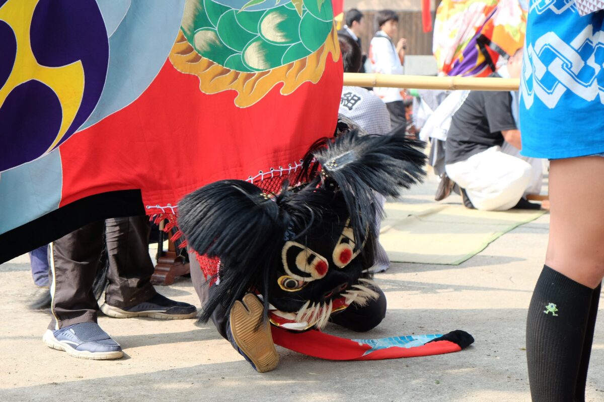 2016年 多度津町山階・春日神社 秋季例大祭 傘揃え 上小原獅子組