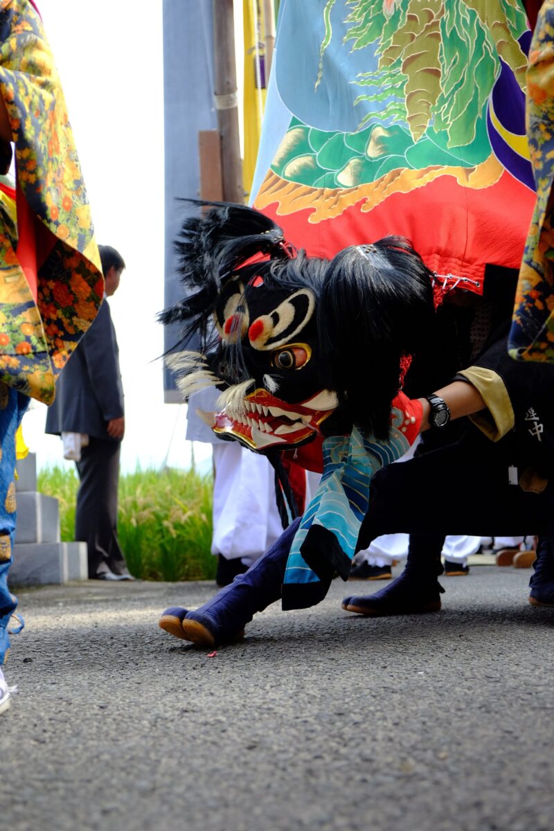 2016年 多度津町山階・春日神社 秋季例大祭 神輿休 上小原獅子組