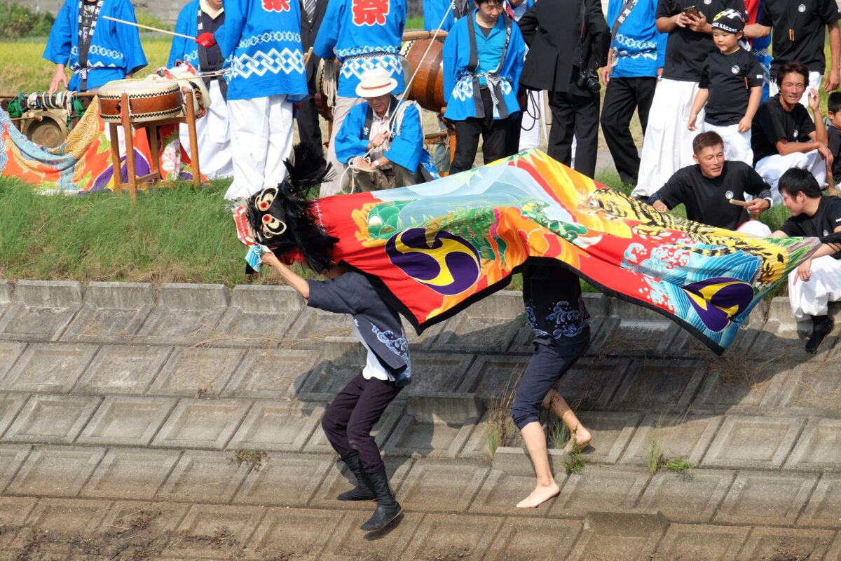 2016年 多度津町山階・藤波池 秋季例大祭 池まわり 上小原獅子組