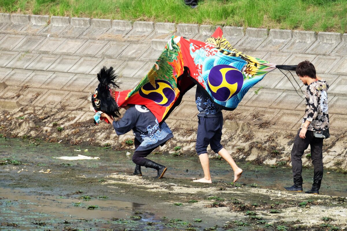 2016年 多度津町山階・藤波池 秋季例大祭 池まわり 上小原獅子組