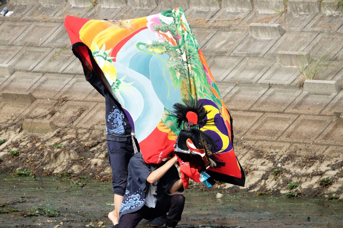 2016年 多度津町山階・藤波池 秋季例大祭 池まわり 上小原獅子組