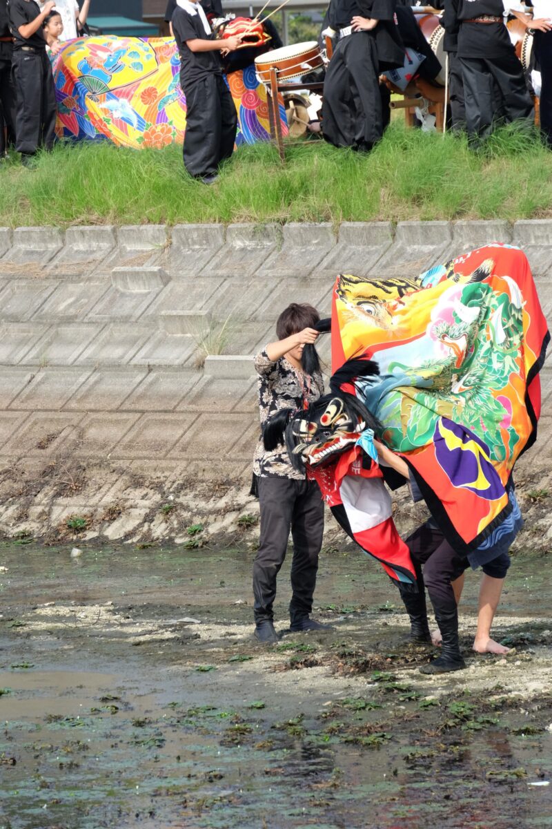 2016年 多度津町山階・藤波池 秋季例大祭 池まわり 上小原獅子組