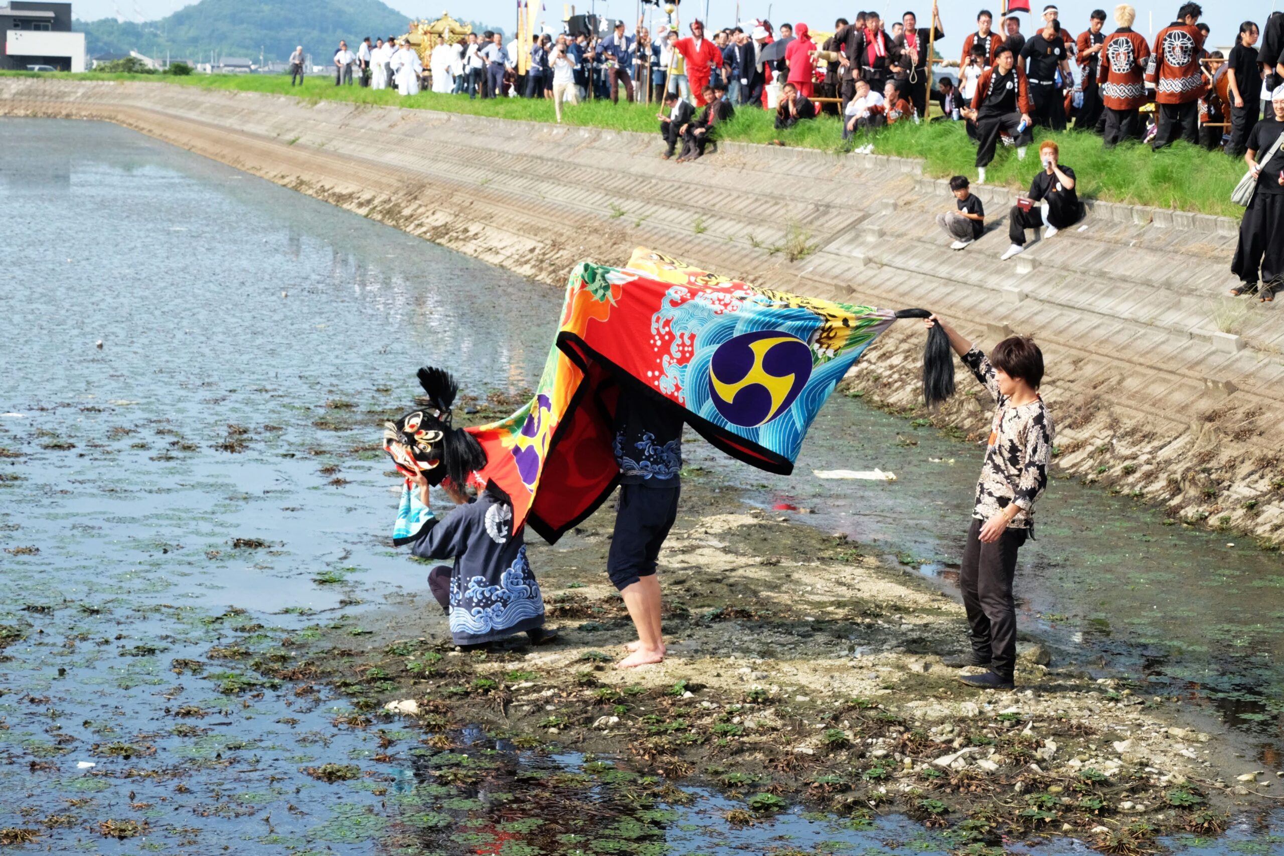 2016年 多度津町山階・藤波池 秋季例大祭 池まわり 上小原獅子組