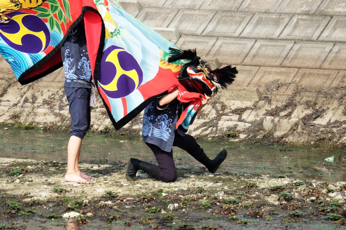 2016年 多度津町山階・藤波池 秋季例大祭 池まわり 上小原獅子組