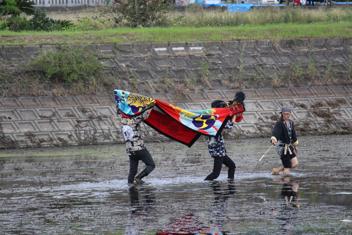2019年 多度津町山階・藤波池 秋季例大祭 池まわり 上小原獅子組