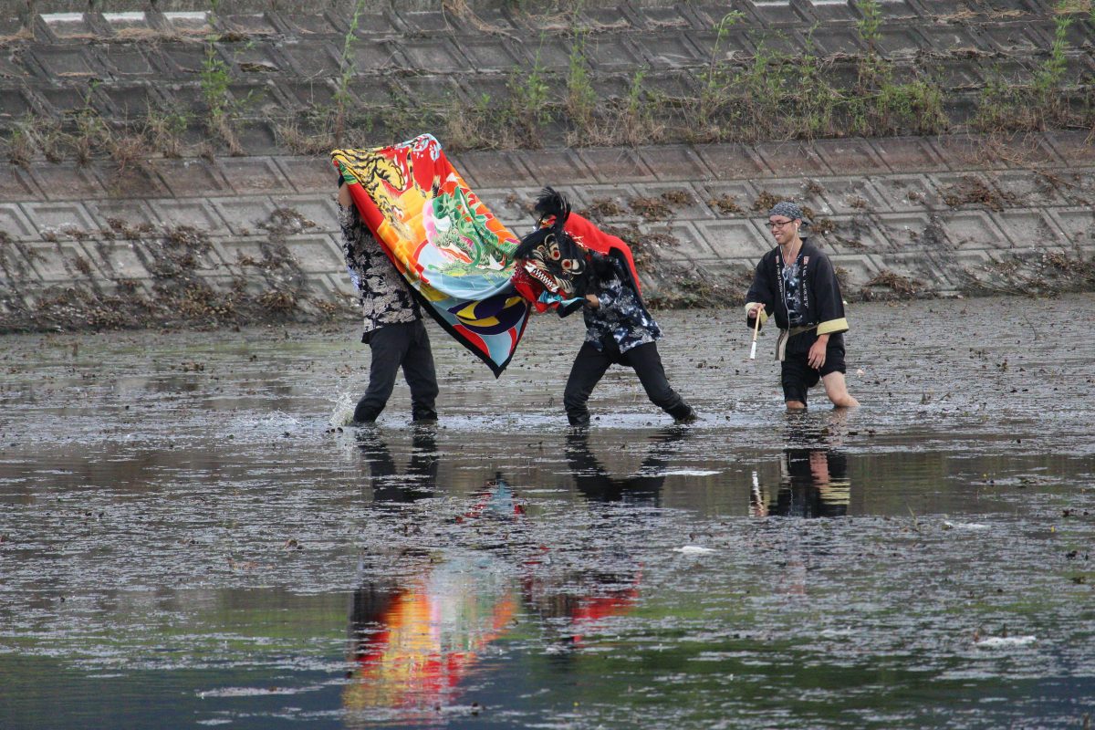 2019年 多度津町山階・藤波池 秋季例大祭 池まわり 上小原獅子組