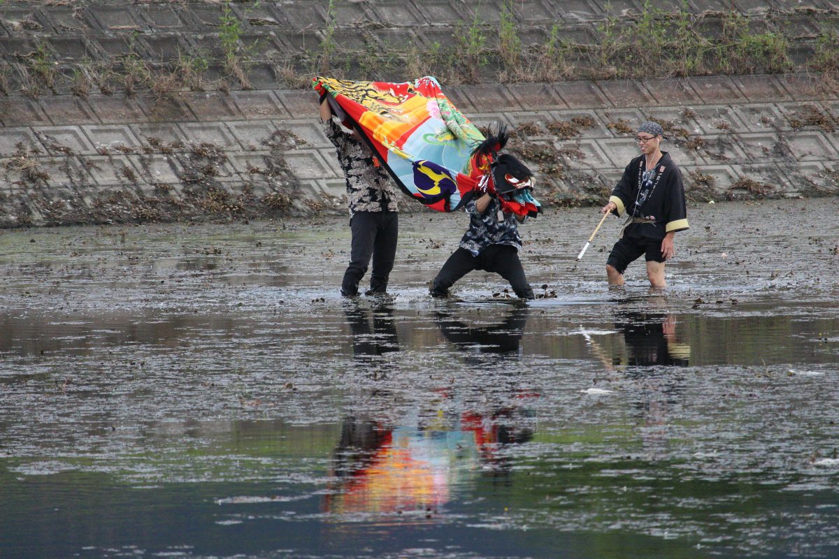 2019年 多度津町山階・藤波池 秋季例大祭 池まわり 上小原獅子組