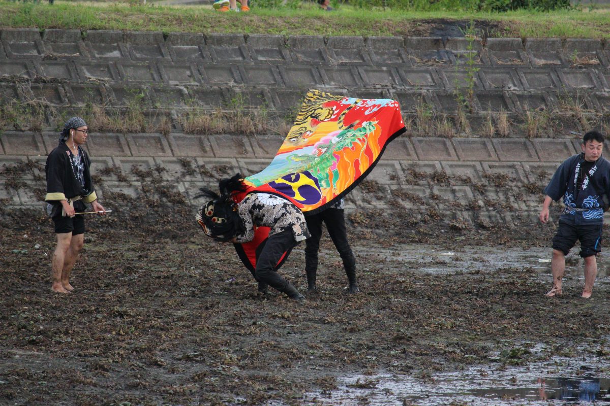 2019年 多度津町山階・藤波池 秋季例大祭 池まわり 上小原獅子組