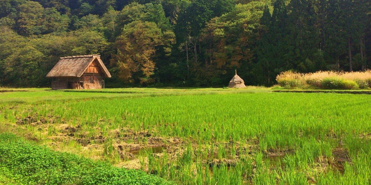 荘園