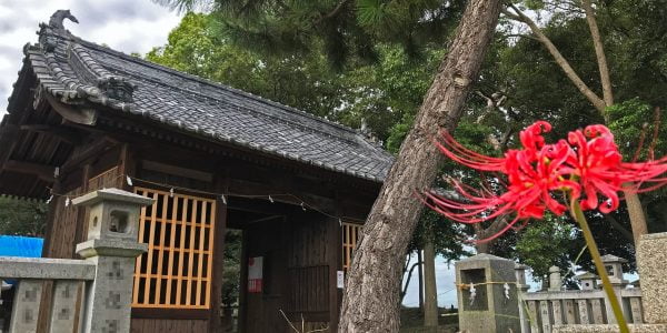 多度津町山階・春日神社 随神門 彼岸花
