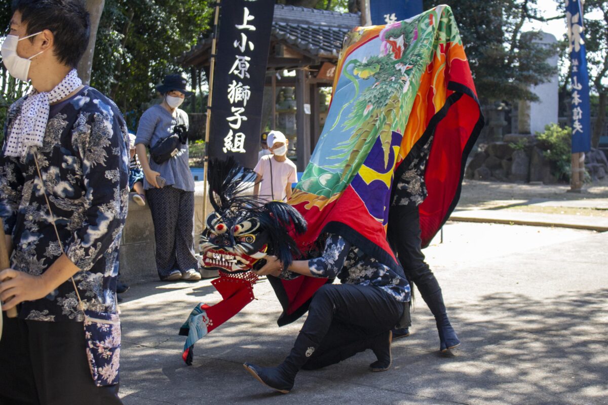 2022年 多度津町山階・春日神社 自主奉納 拝殿前 上小原獅子組