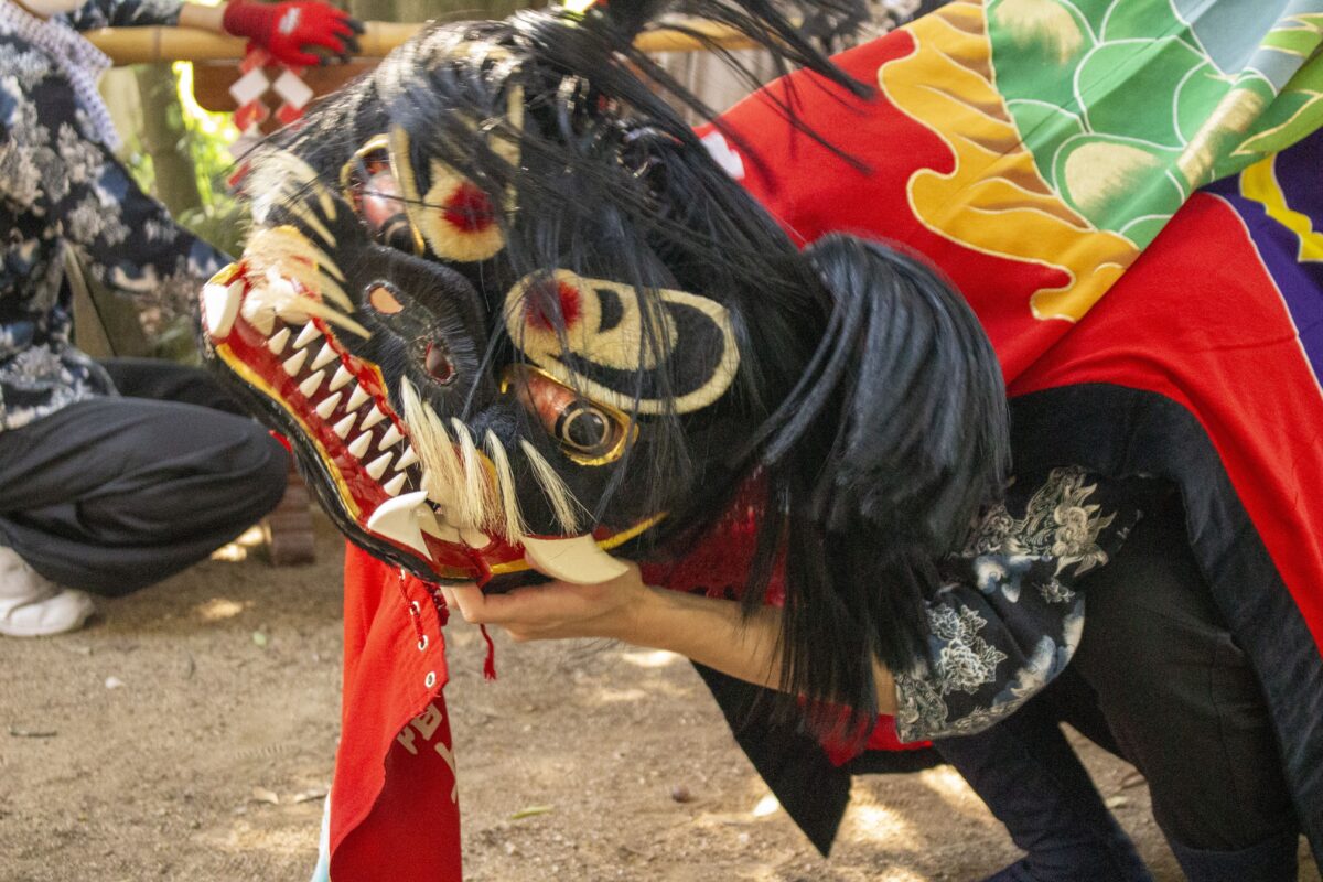 2022年 多度津町山階・春日神社 自主奉納 龍王宮 上小原獅子組