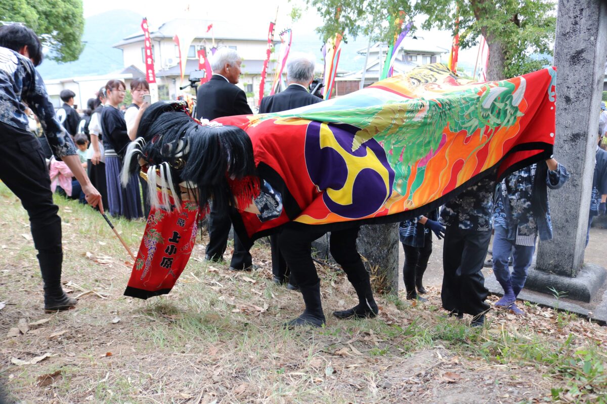 2023年 多度津町山階・春日神社 秋季例大祭 傘揃え 上小原獅子組