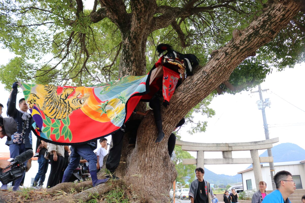 2023年 多度津町山階・春日神社 秋季例大祭 傘揃え 上小原獅子組