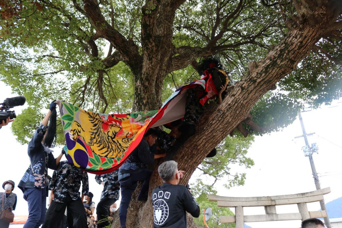 2023年 多度津町山階・春日神社 秋季例大祭 傘揃え 上小原獅子組