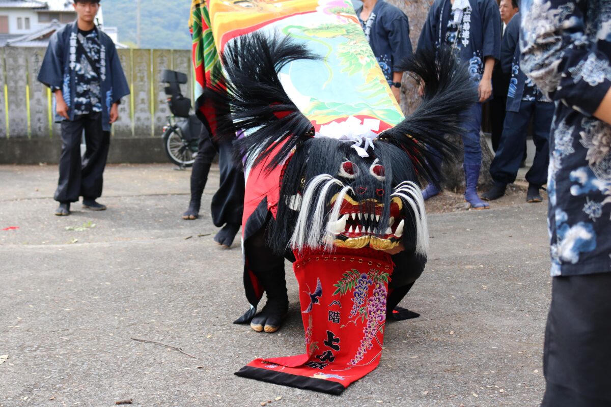 2023年 多度津町山階・春日神社 秋季例大祭 傘揃え 上小原獅子組