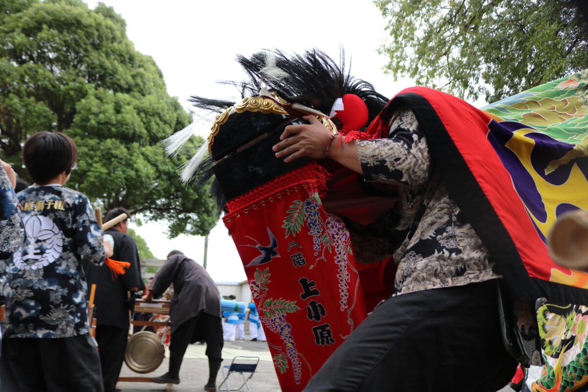 2023年 多度津町山階・春日神社 秋季例大祭 傘揃え 上小原獅子組