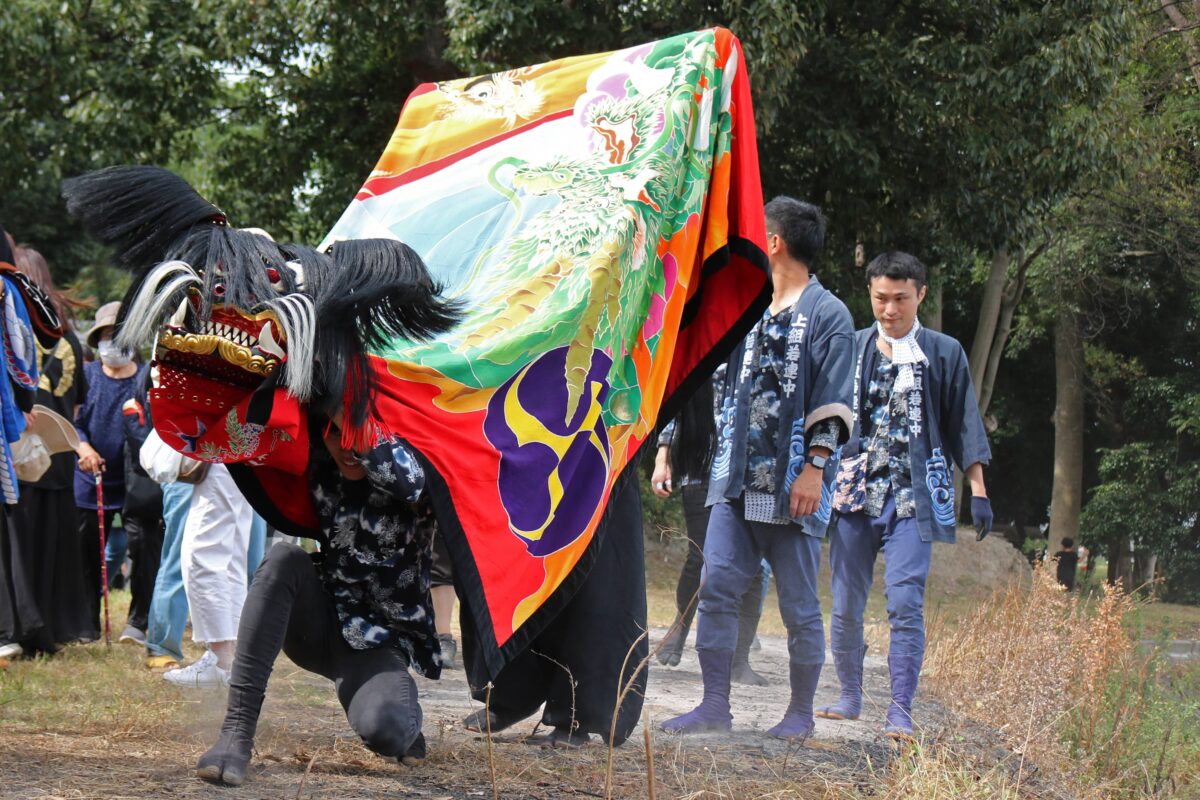 2023年 多度津町山階・春日神社 秋季例大祭 傘揃え 上小原獅子組