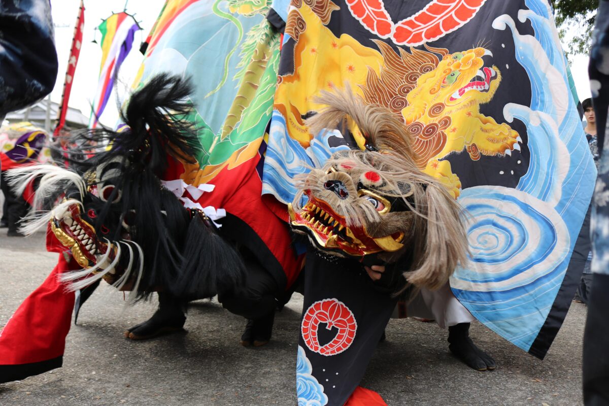 2023年 多度津町山階・春日神社 秋季例大祭 傘揃え 上小原獅子組 向井獅子組