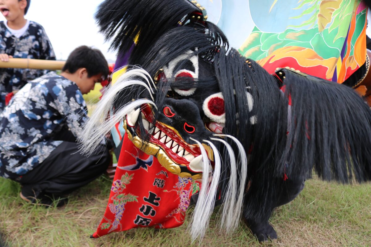 2023年 多度津町山階・藤波池 秋季例大祭 池まわり 上小原獅子組