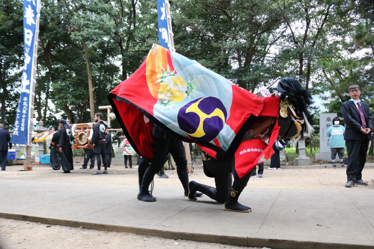 2023年 多度津町山階・春日神社 秋季例大祭 舞い込み 上小原獅子組