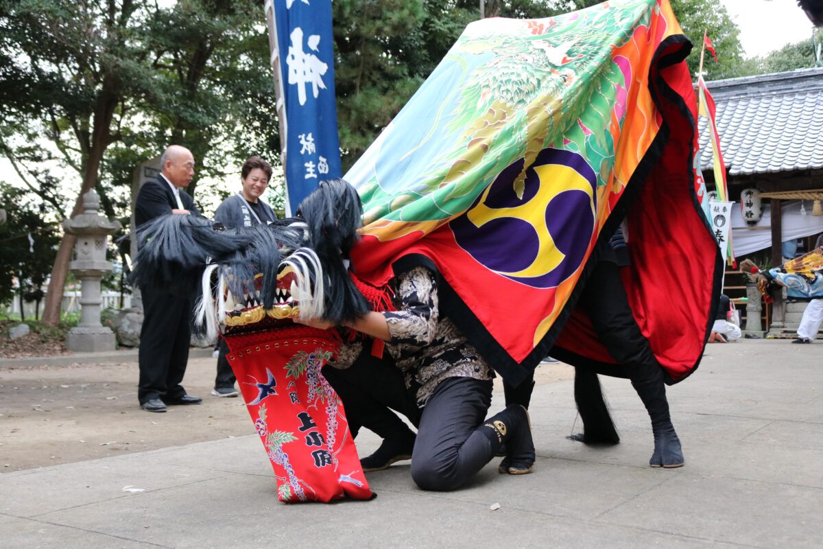 2023年 多度津町山階・春日神社 秋季例大祭 舞い込み 上小原獅子組