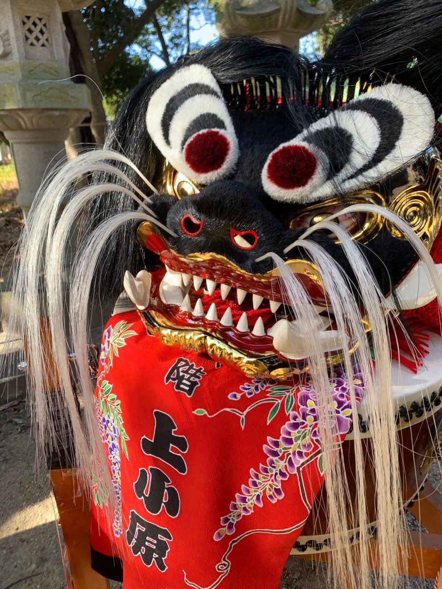2023年 多度津町山階・春日神社 お披露目演舞 記念 獅子頭 上小原獅子組
