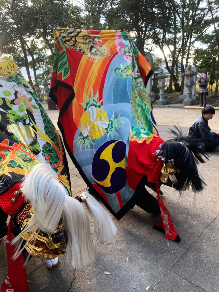 2023年 多度津町山階・春日神社 お披露目演舞 拝殿前での競演 上小原獅子組 北山獅子組