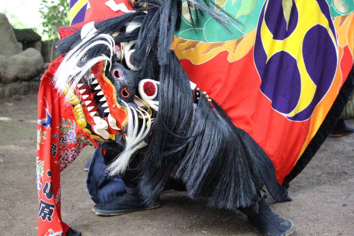 2024年 多度津町山階・春日神社 秋季例大祭 龍王宮 上小原獅子組