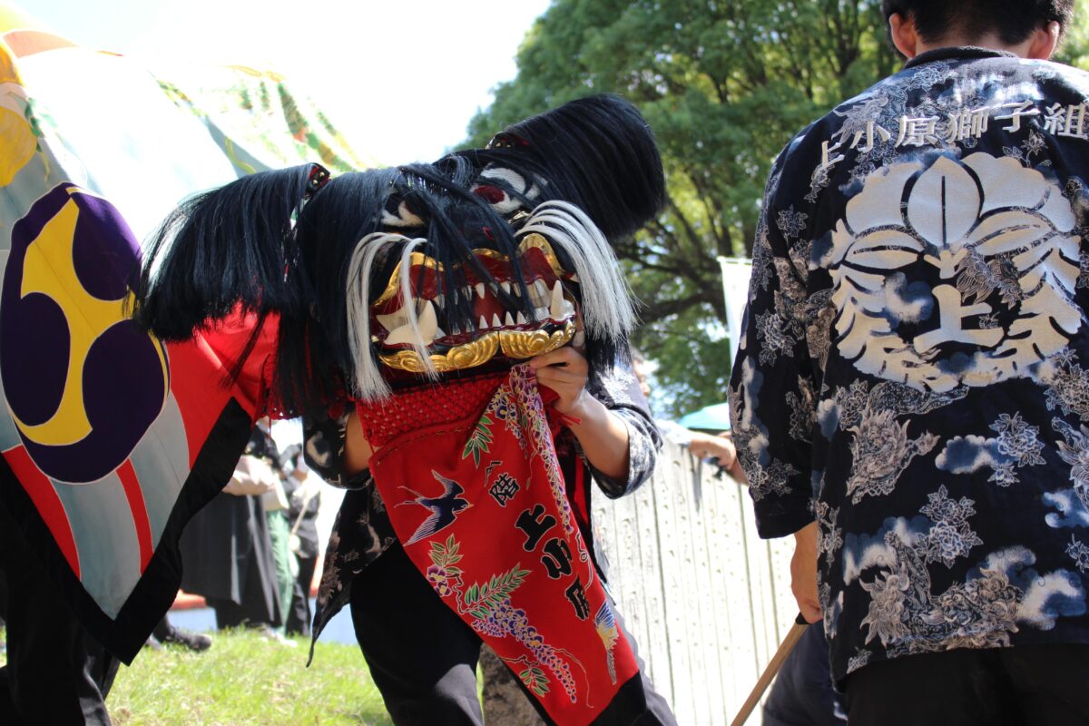 2024年 多度津町山階・春日神社 秋季例大祭 傘揃え 上小原獅子組