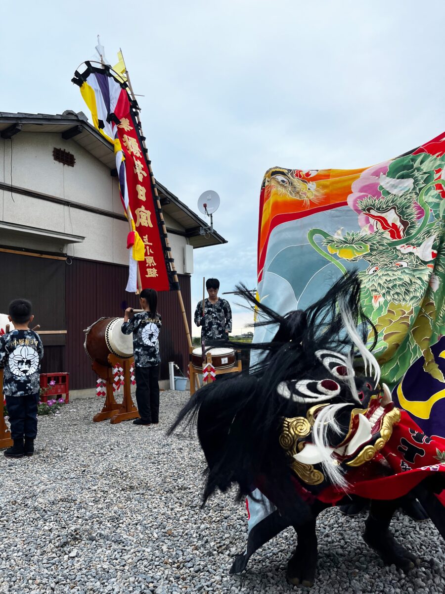 2024年 多度津町山階 秋祭り 村遣い 上小原獅子組