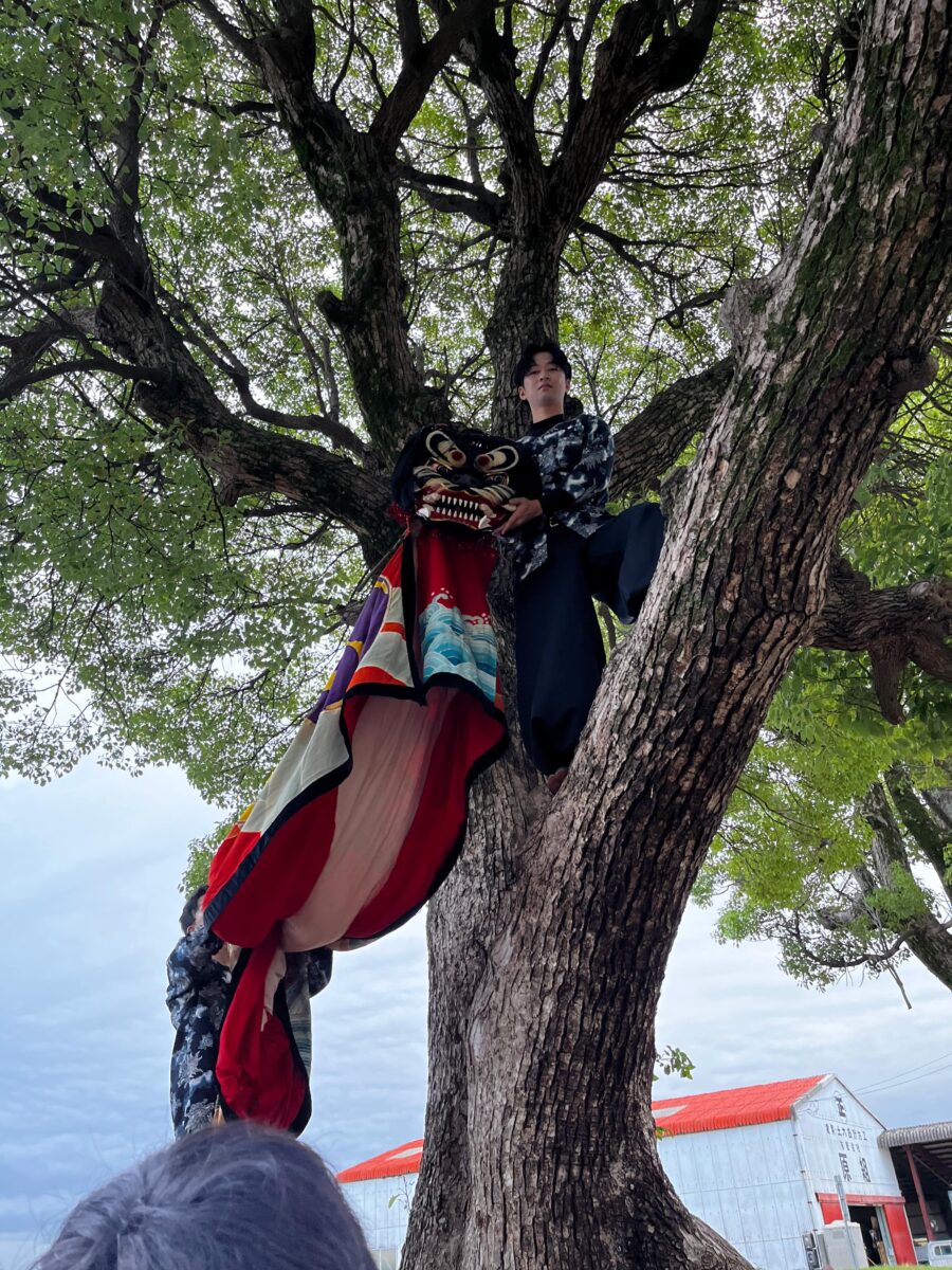 2024年 多度津町山階 秋祭り 村遣い 上小原獅子組