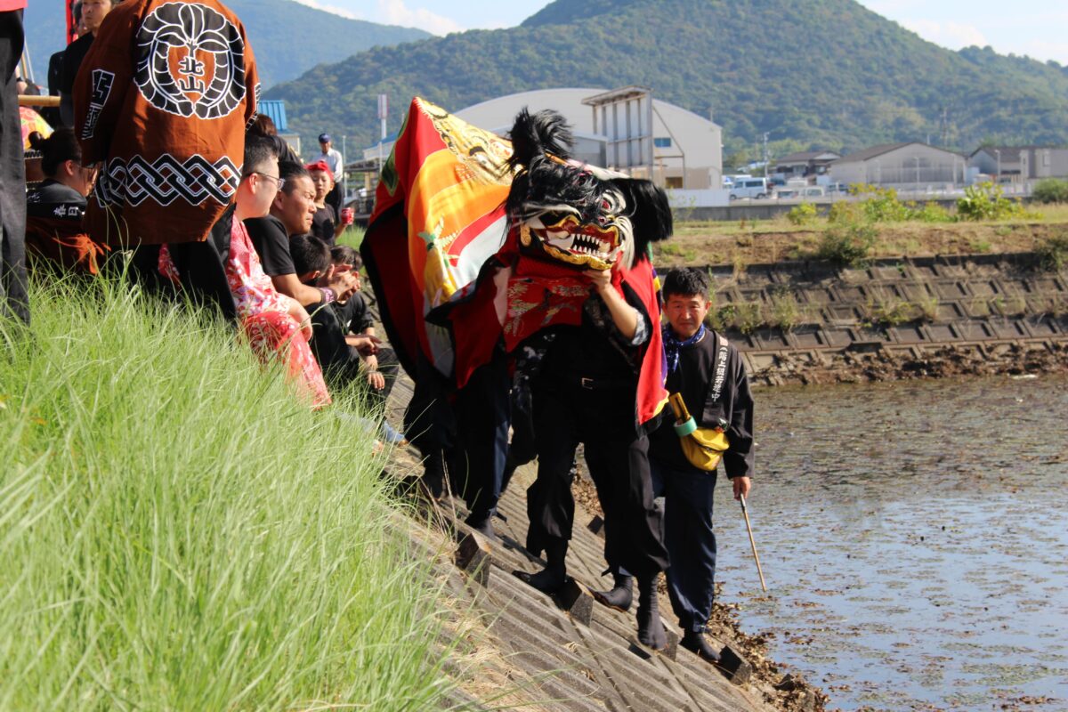 2024年 多度津町山階・藤波池 秋季例大祭 池まわり 上小原獅子組