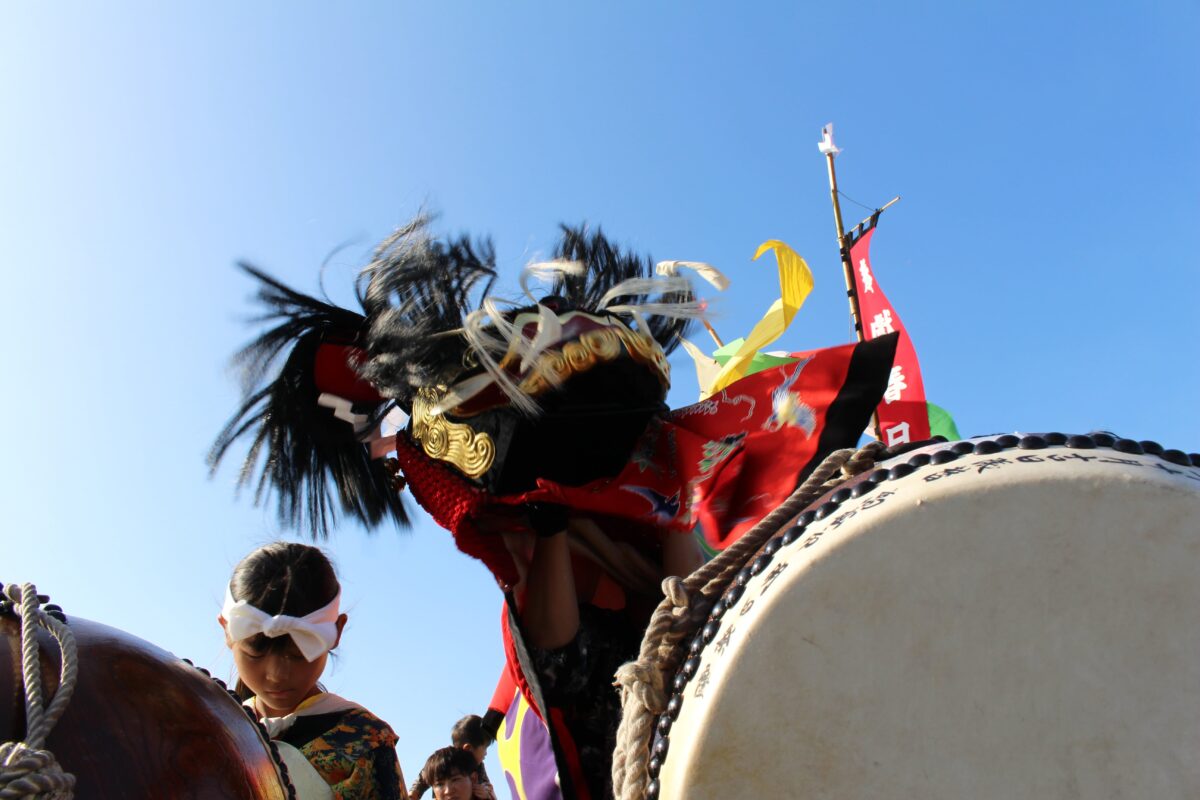 2024年 多度津町山階・藤波池 秋季例大祭 池まわり 上小原獅子組