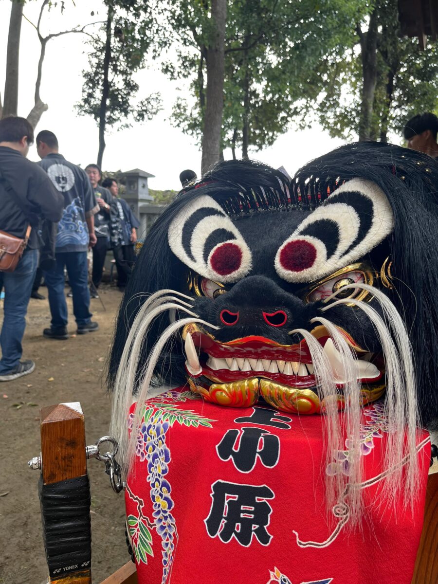 2024年 多度津町山階・春日神社 秋季例大祭 記念 上小原獅子組