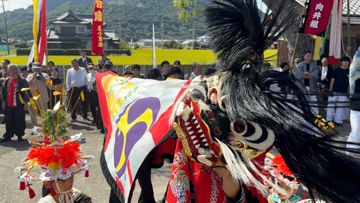 2024年 多度津町山階・春日神社 秋季例大祭 傘揃え 上小原獅子組
