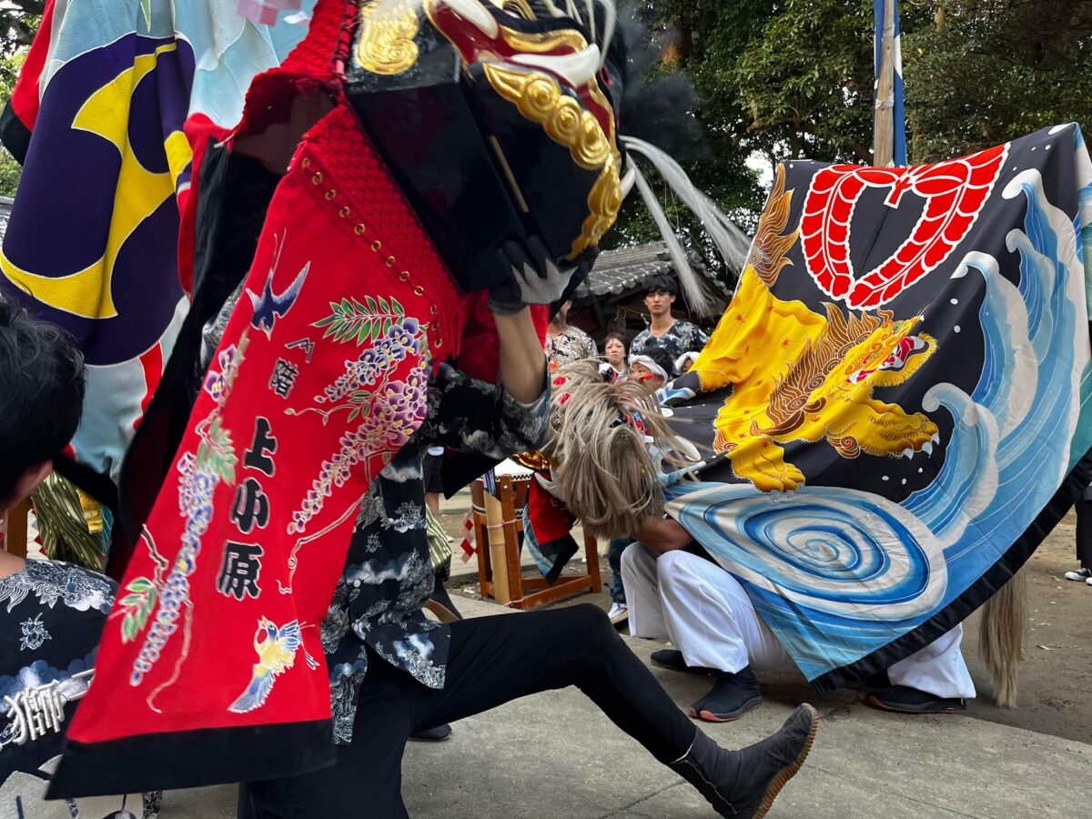 2024年 多度津町山階・春日神社 秋季例大祭 舞い込み 上小原獅子組 向井獅子組