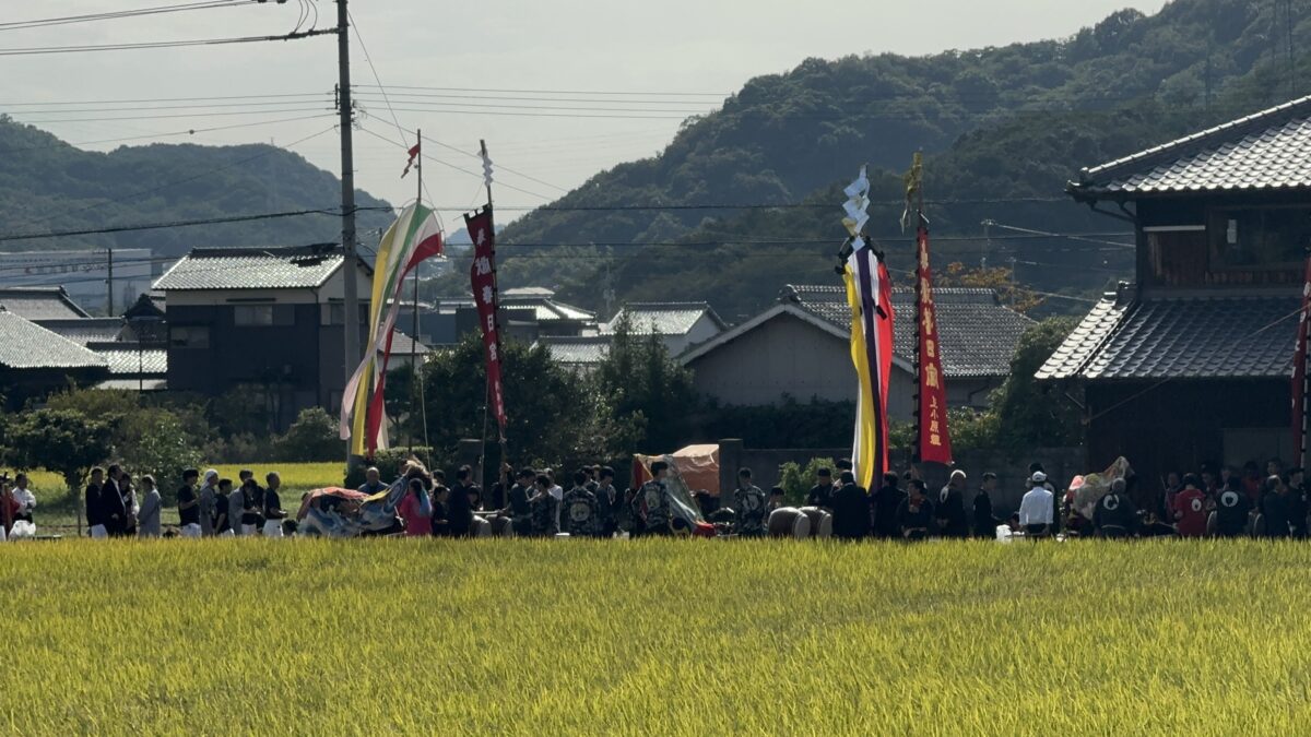 2024年 多度津町山階・春日神社 秋季例大祭 神輿休 上小原獅子組