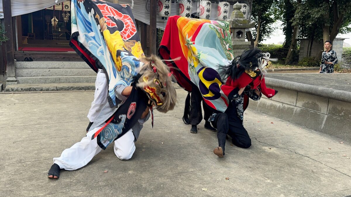2024年 多度津町山階・春日神社 秋季例大祭 舞い込み 上小原獅子組 向井獅子組