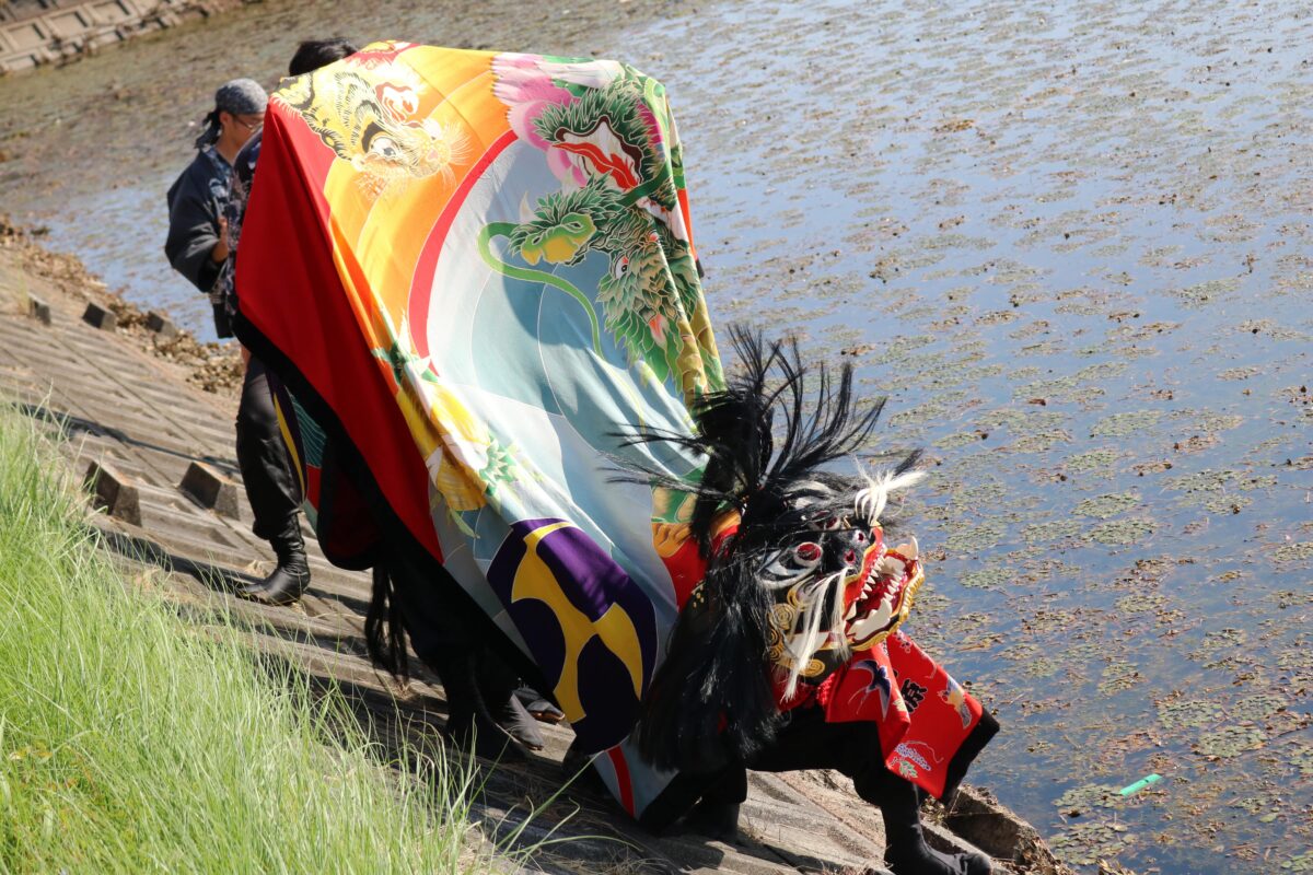 2024年 多度津町山階・藤波池 秋季例大祭 池まわり 上小原獅子組