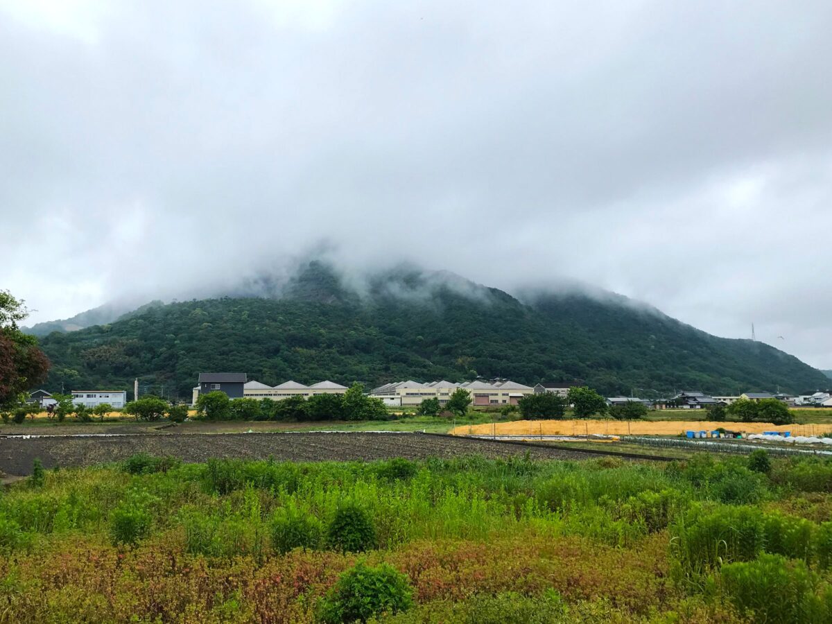 天霧山 多度津町山階