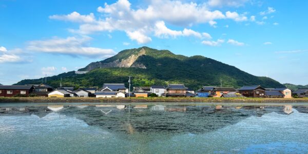 山階新池から見る天霧山