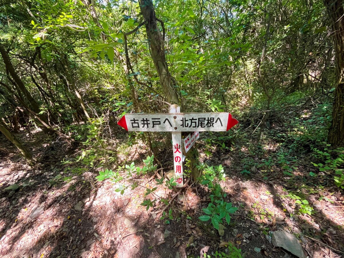 天霧城跡 分岐点