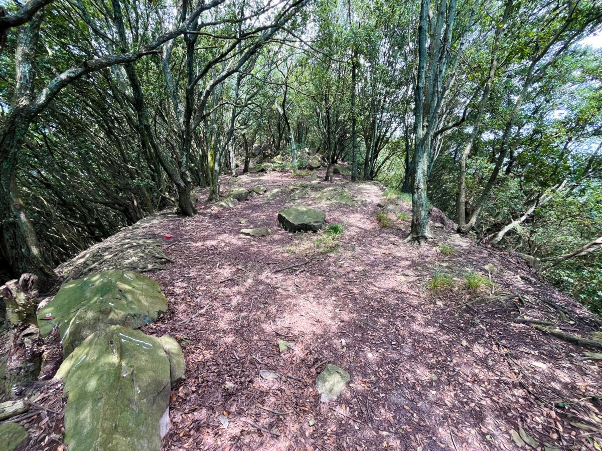 天霧城跡 虎口周辺