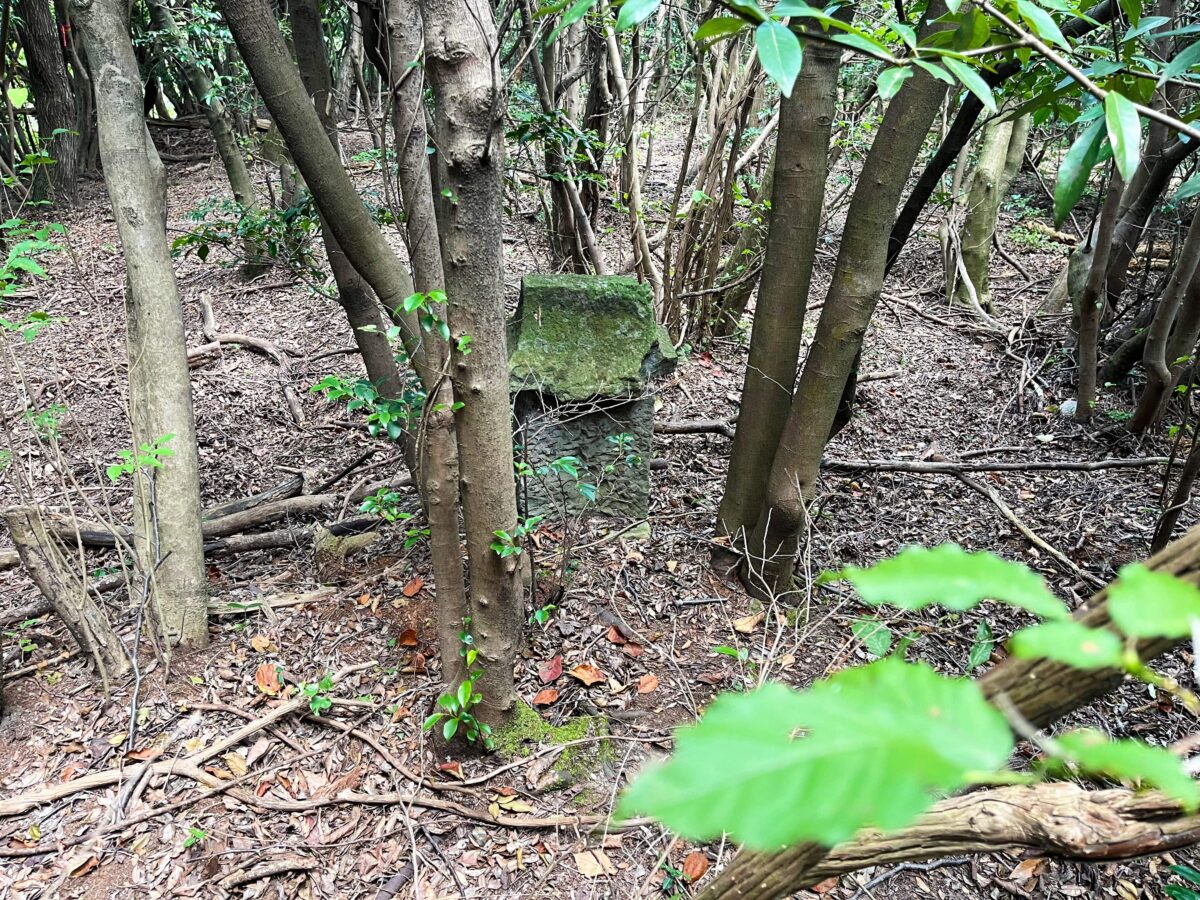 弥谷山 龍王社の祠(背面)