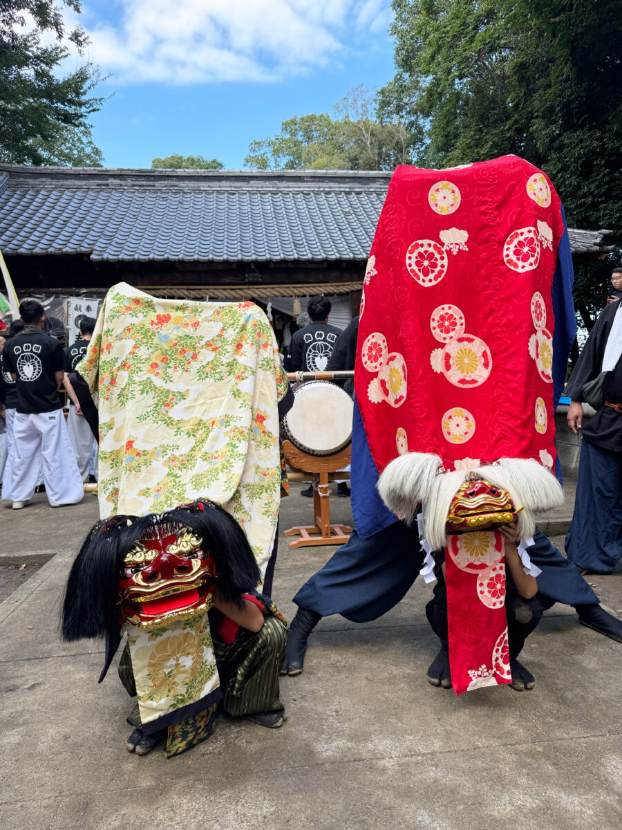 2025年 多度津町山階・春日神社 秋季例大祭 記念 上小原獅子組