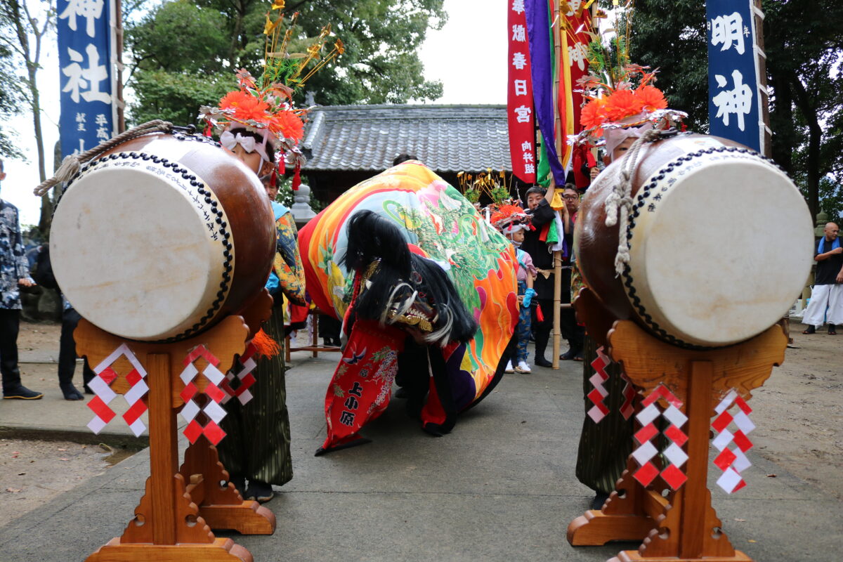 2025年 多度津町山階・春日神社 秋季例大祭 拝殿前 上小原獅子組