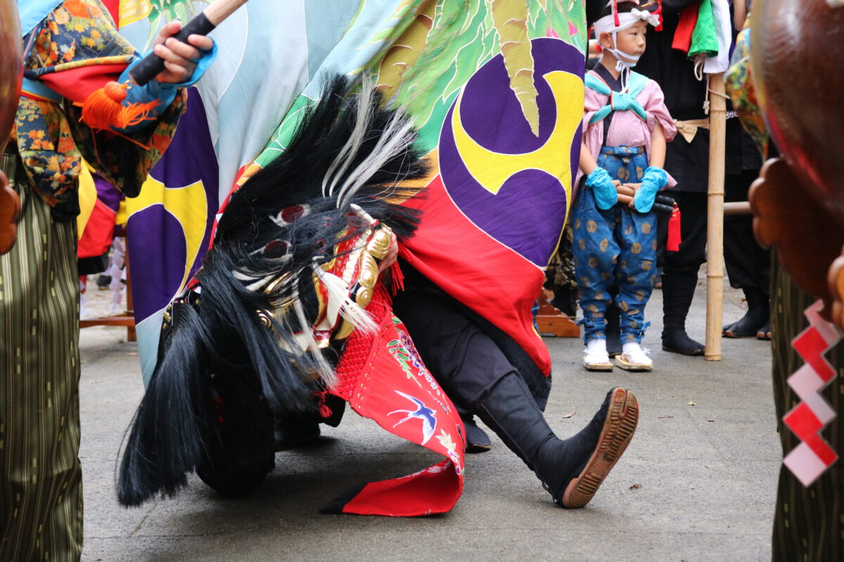 2025年 多度津町山階・春日神社 秋季例大祭 拝殿前 上小原獅子組